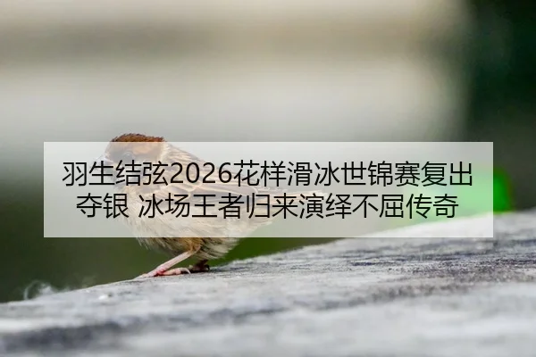 羽生结弦2026花样滑冰世锦赛复出夺银 冰场王者归来演绎不屈传奇